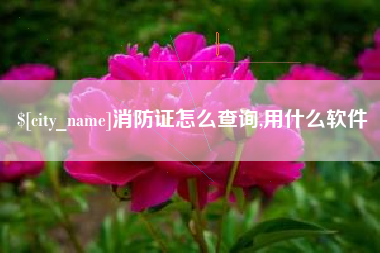 铁岭消防证怎么查询,用什么软件