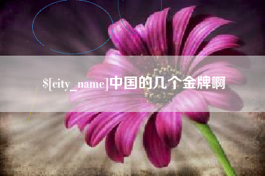 铁岭中国的几个金牌啊