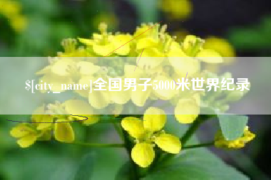 铁岭全国男子5000米世界纪录