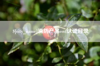 铁岭消防产品cccf认证目录