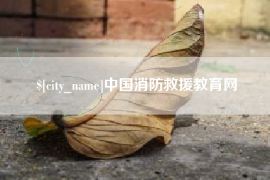 铁岭中国消防救援教育网