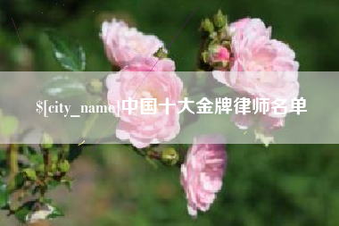 铁岭中国十大金牌律师名单