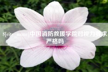 铁岭中国消防救援学院对视力要求严格吗