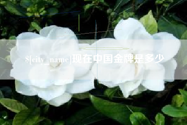 铁岭现在中国金牌是多少