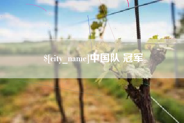 铁岭中国队 冠军