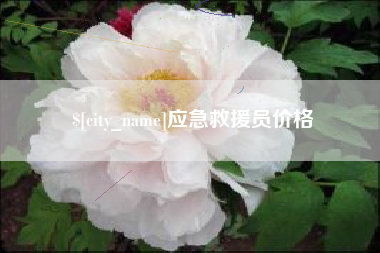 铁岭应急救援员价格