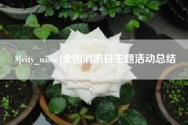 铁岭全国消防日主题活动总结