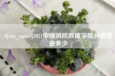 铁岭2021中国消防救援学院分数线是多少