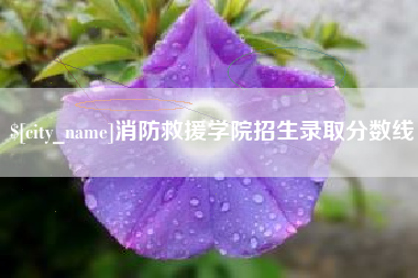 铁岭消防救援学院招生录取分数线