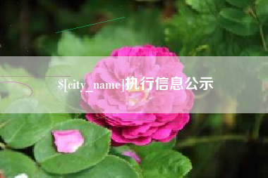 铁岭执行信息公示