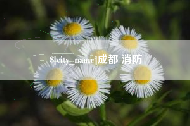 铁岭成都 消防