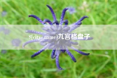 铁岭九宫格盘子