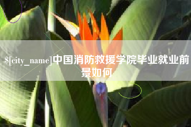 铁岭中国消防救援学院毕业就业前景如何