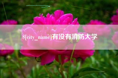 铁岭有没有消防大学