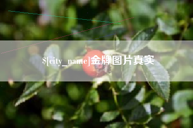 铁岭金牌图片真实