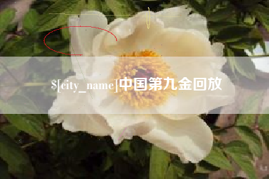 铁岭中国第九金回放