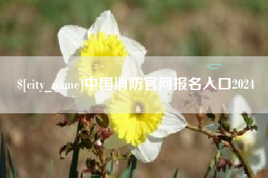 铁岭中国消防官网报名入口2024