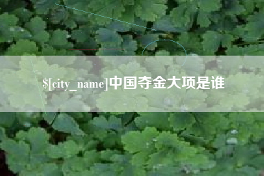 铁岭中国夺金大项是谁