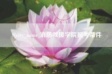 铁岭消防救援学院报考条件