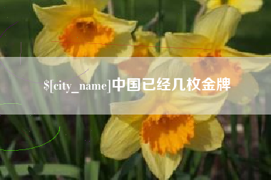 铁岭中国已经几枚金牌
