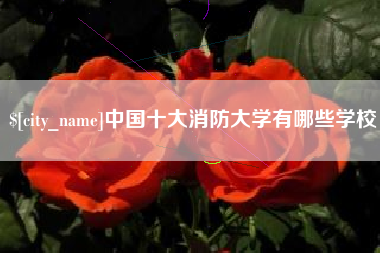 铁岭中国十大消防大学有哪些学校