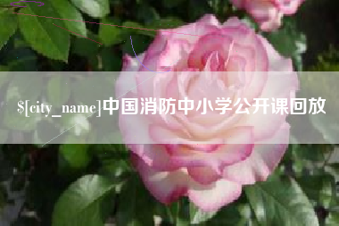 铁岭中国消防中小学公开课回放