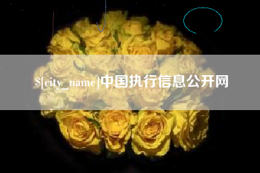 铁岭中国执行信息公开网