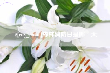 铁岭森林消防日是哪一天