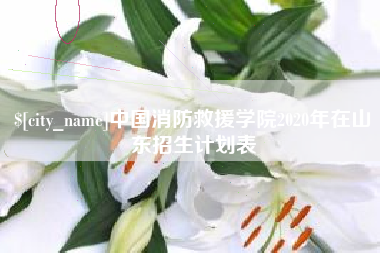 铁岭中国消防救援学院2020年在山东招生计划表
