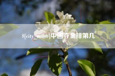 铁岭中国夺金排第几