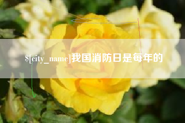 铁岭我国消防日是每年的