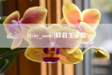 铁岭邱县王子磊