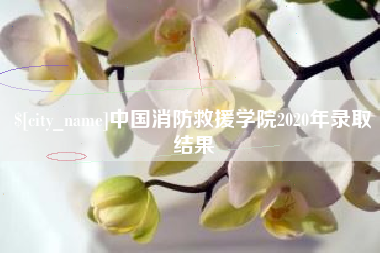 铁岭中国消防救援学院2020年录取结果