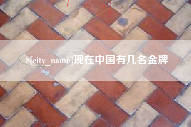 铁岭现在中国有几名金牌