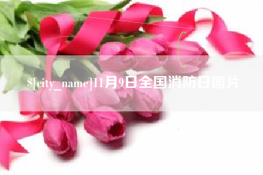 铁岭11月9日全国消防日图片