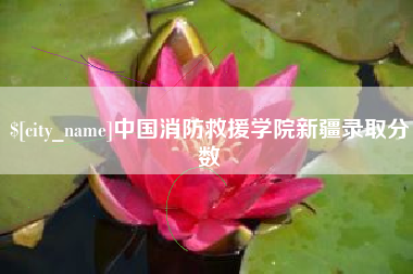 铁岭中国消防救援学院新疆录取分数