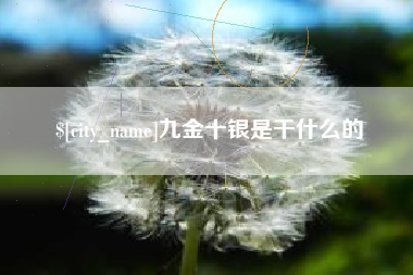 铁岭九金十银是干什么的