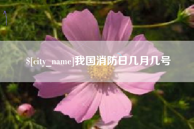 铁岭我国消防日几月几号