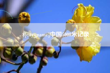 铁岭中国5000米记录