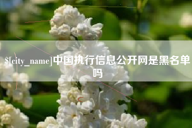 铁岭中国执行信息公开网是黑名单吗