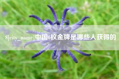 铁岭中国6枚金牌是哪些人获得的