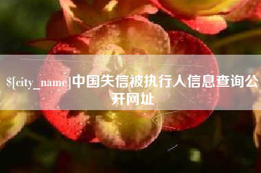 铁岭中国失信被执行人信息查询公开网址