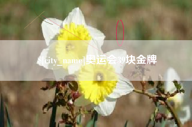 铁岭奥运会39块金牌