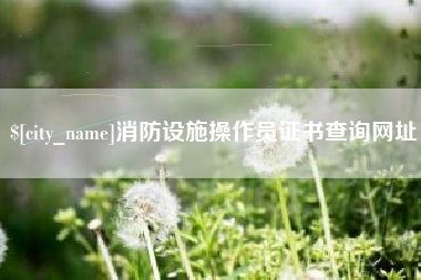 铁岭消防设施操作员证书查询网址