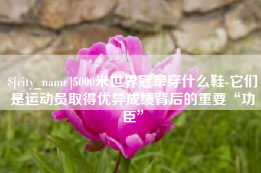 铁岭5000米世界冠军穿什么鞋-它们是运动员取得优异成绩背后的重要“功臣”