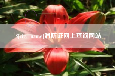 铁岭消防证网上查询网站