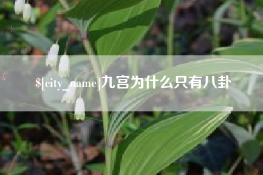 铁岭九宫为什么只有八卦