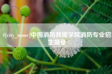 铁岭中国消防救援学院消防专业招生简章