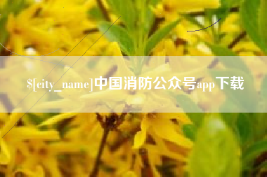 铁岭中国消防公众号app下载