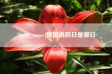 铁岭我国消防日是哪日